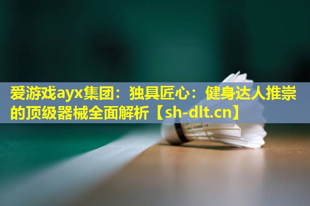 独具匠心:健身达人推崇的顶级器械全面解析 独具匠心:健身达人推崇的顶级器械全面解析