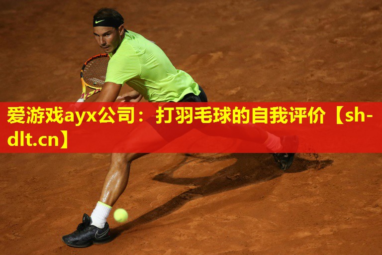 打羽毛球的自我评价 打羽毛球的自我评价