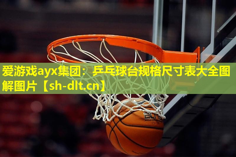 乒乓球台规格尺寸表大全图解图片 乒乓球台规格尺寸表大全图解图片
