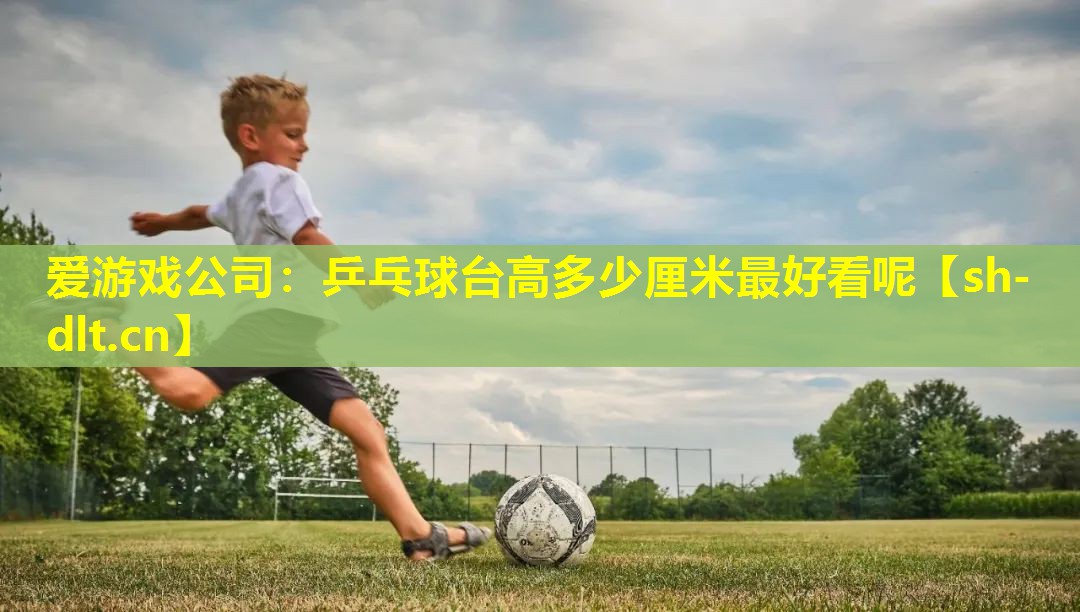 乒乓球台高多少厘米最好看呢 乒乓球台高多少厘米最好看呢