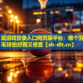 哪个羽毛球拍好用又便宜 哪个羽毛球拍好用又便宜