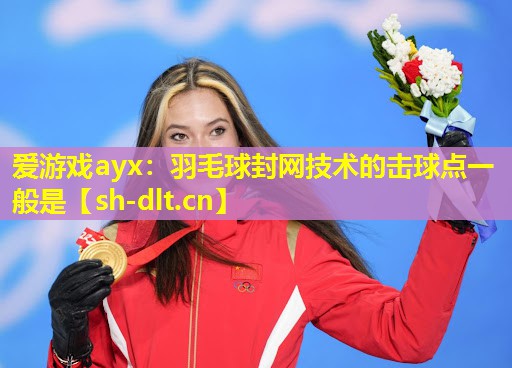 羽毛球封网技术的击球点一般是 羽毛球封网技术的击球点一般是