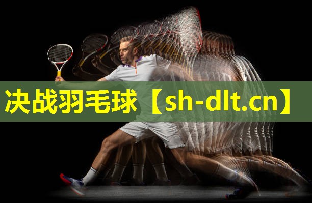 决战羽毛球 决战羽毛球