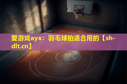 羽毛球拍适合用的 羽毛球拍适合用的