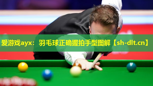 羽毛球正确握拍手型图解 羽毛球正确握拍手型图解