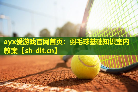 羽毛球基础知识室内教案 羽毛球基础知识室内教案