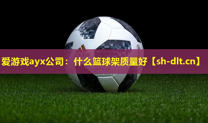 什么篮球架质量好 什么篮球架质量好