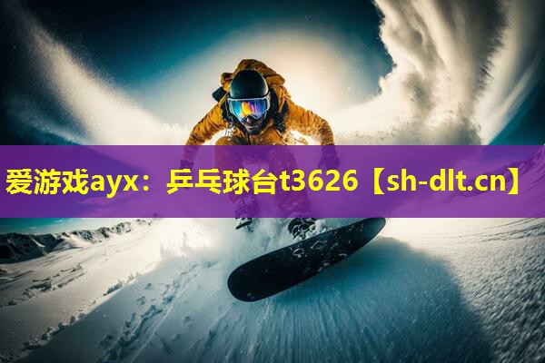 乒乓球台t3626 乒乓球台t3626