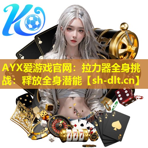 拉力器全身挑战:释放全身潜能 拉力器全身挑战:释放全身潜能