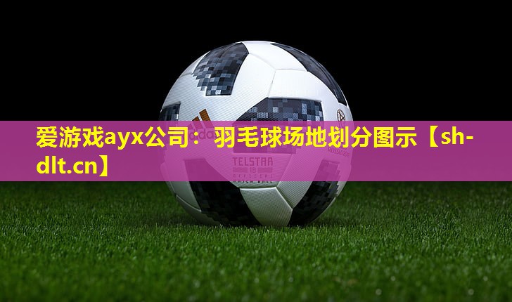 羽毛球场地划分图示 羽毛球场地划分图示