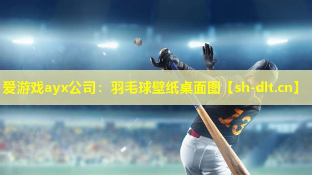 羽毛球壁纸桌面图 羽毛球壁纸桌面图