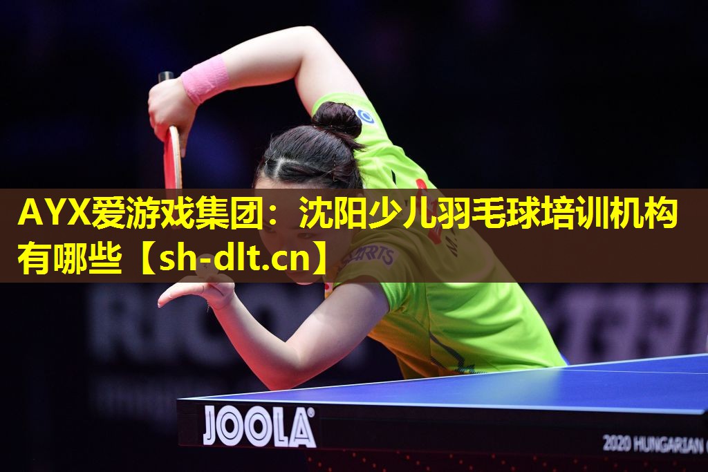 沈阳少儿羽毛球培训机构有哪些 沈阳少儿羽毛球培训机构有哪些