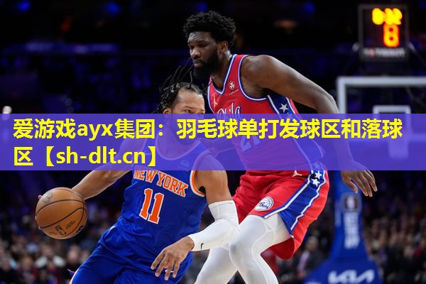 羽毛球单打发球区和落球区 羽毛球单打发球区和落球区