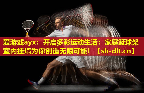 开启多彩运动生活:家庭篮球架室内挂墙为你创造无限可能! 开启多彩运动生活:家庭篮球架室内挂墙为你创造无限可能!