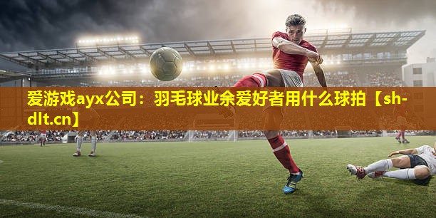 羽毛球业余爱好者用什么球拍 羽毛球业余爱好者用什么球拍