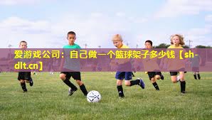 自己做一个篮球架子多少钱 自己做一个篮球架子多少钱