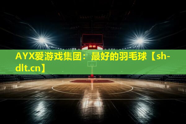 最好的羽毛球 最好的羽毛球