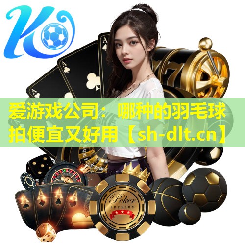 哪种的羽毛球拍便宜又好用 哪种的羽毛球拍便宜又好用