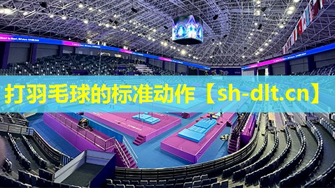 打羽毛球的标准动作 打羽毛球的标准动作