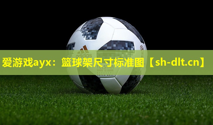 篮球架尺寸标准图 篮球架尺寸标准图