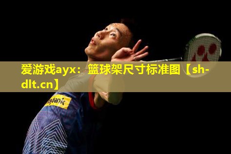 篮球架尺寸标准图 篮球架尺寸标准图