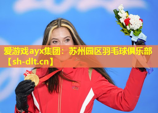 苏州园区羽毛球俱乐部 苏州园区羽毛球俱乐部