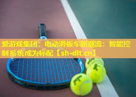 电动滑板车新潮流:智能控制系统成为标配 电动滑板车新潮流:智能控制系统成为标配