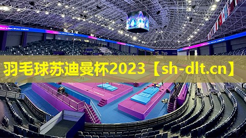 羽毛球苏迪曼杯2023 羽毛球苏迪曼杯2023