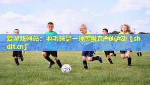 羽毛球是一项等级森严的运动 羽毛球是一项等级森严的运动