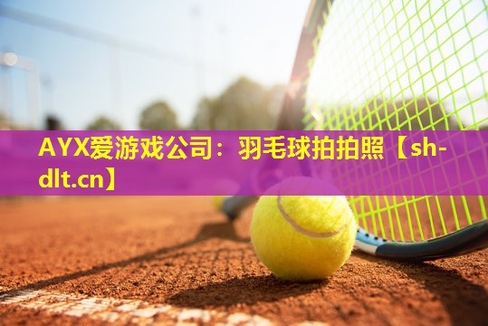 羽毛球拍拍照 羽毛球拍拍照