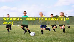 篮球架最好的 篮球架最好的