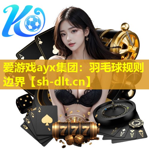 羽毛球规则边界 羽毛球规则边界