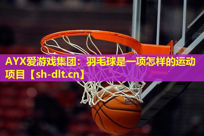 羽毛球是一项怎样的运动项目 羽毛球是一项怎样的运动项目