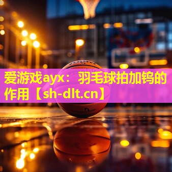 羽毛球拍加钨的作用 羽毛球拍加钨的作用