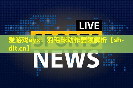 羽毛球动作要领解析 羽毛球动作要领解析