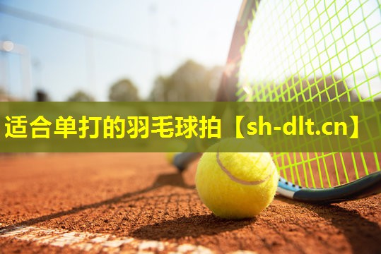 适合单打的羽毛球拍 适合单打的羽毛球拍