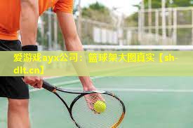 篮球架大图真实 篮球架大图真实