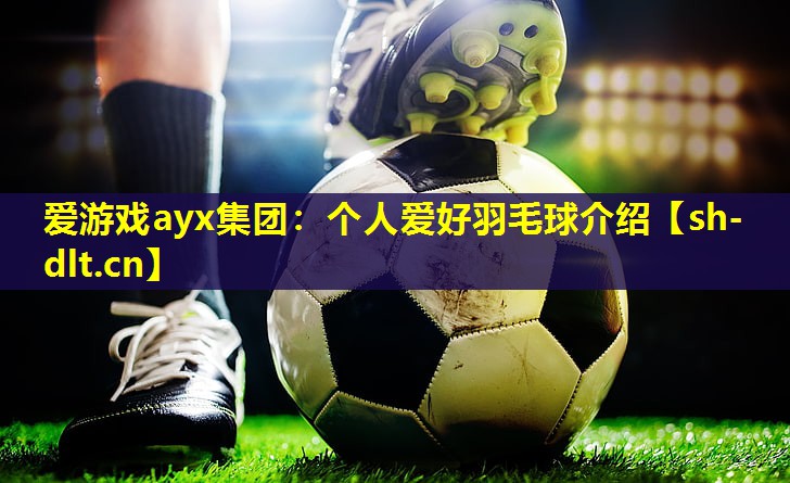 个人爱好羽毛球介绍 个人爱好羽毛球介绍